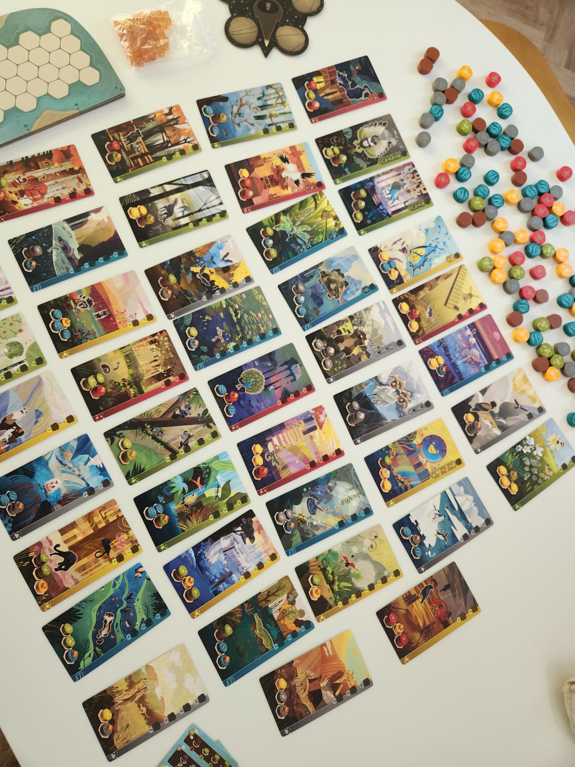 Bored Games gallery photo