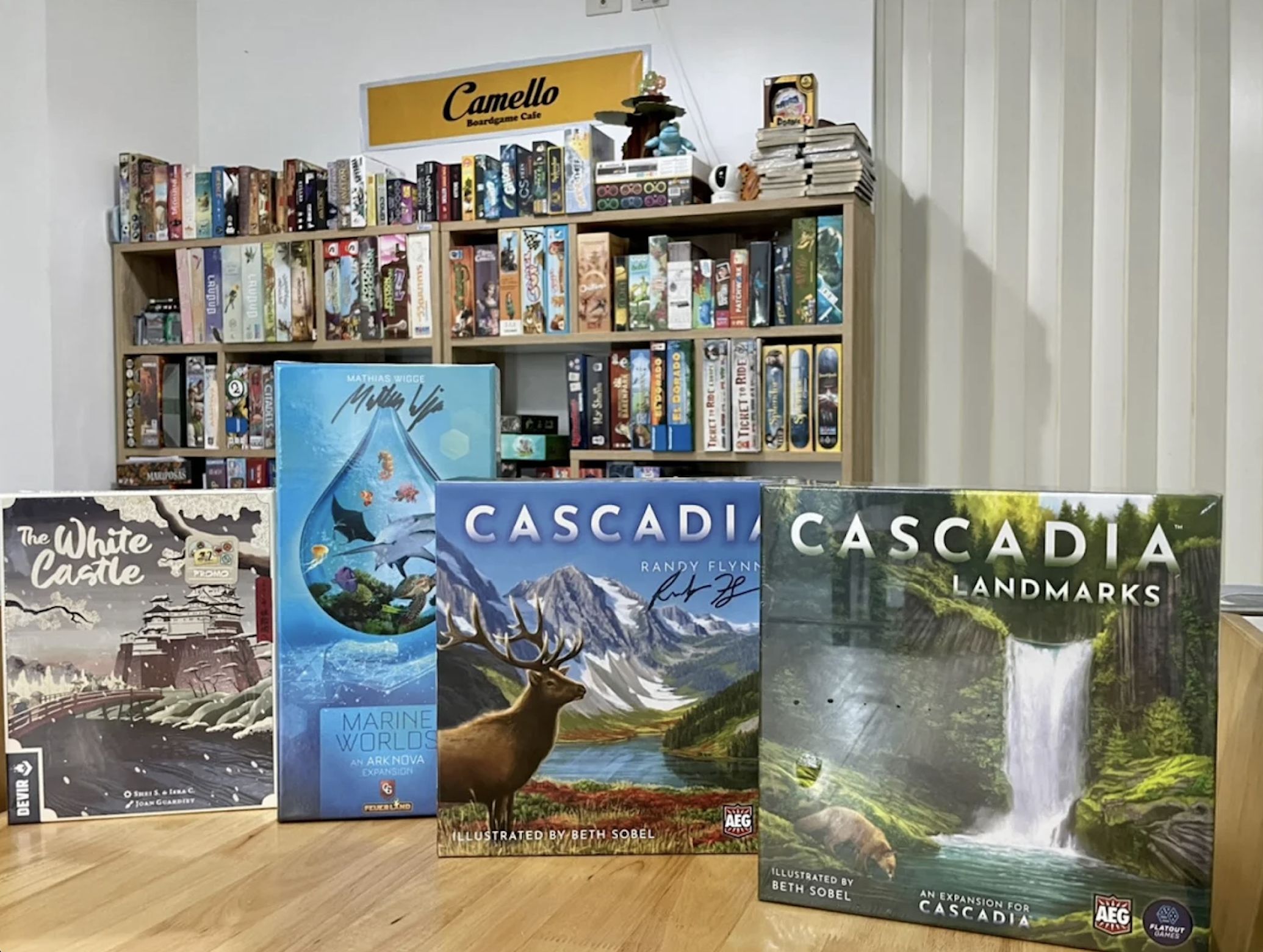 Camello, Boardgame Cafe, Chiang Mai